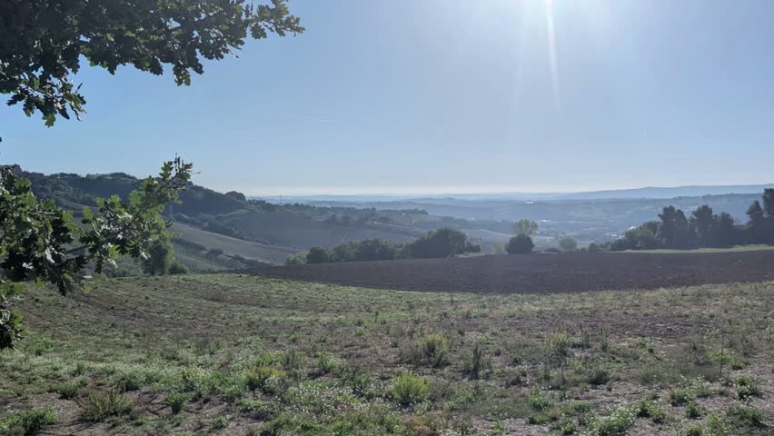 Panoramic view of wide hills and cultivated fields under a clear, sunny sky
