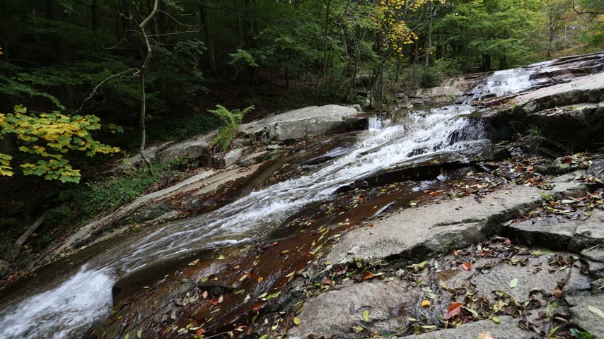 Clear mountain stream cascading down rocky forest slopes in Montseny Natural Park during autumn