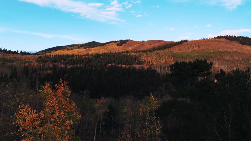 Aerial drone Colorado Trail Kenosha Pass Mount Bierstadt fall autumn quaking aspen trees forest sunset Grant Fairplay Jefferson landscape Front Range Rocky Mountains Continental Divide upwards