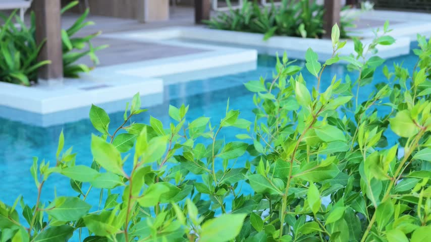 Tropical Greenery Beside Private Swim Up Pool at Luxury Resort