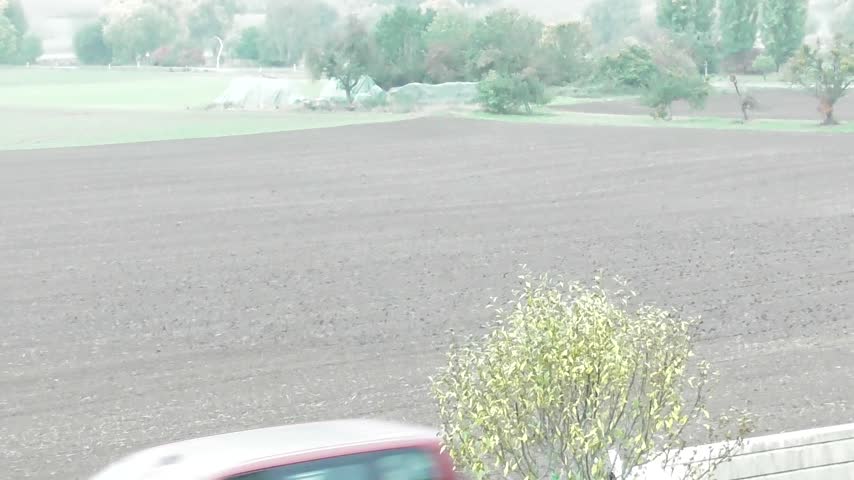 plowed fields with a starling invasion