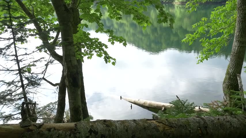 Lakeside and forest, Hokkaido Japan