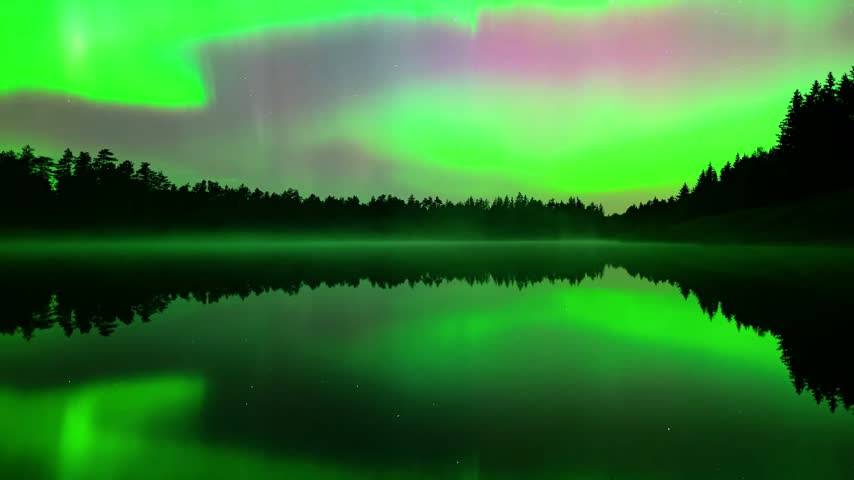 Vivid green and pink northern lights blazing above a misty lake and black spruce treeline, doubled in the glassy water below in a symmetrical night scene