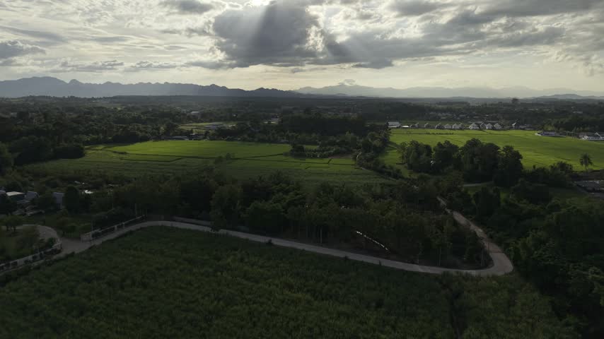 Peaceful aerial view of a traditional stilt house nestled among banana trees and green farmland.