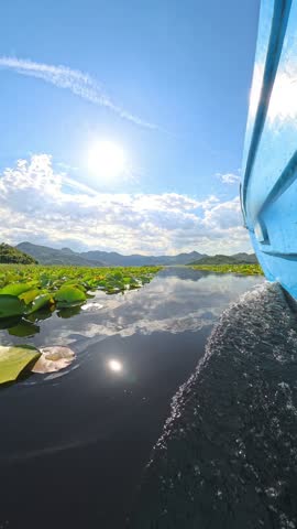 Cruising across the incredible Lake Skadar, in Montenegro, while admiring the lilies flowers and the flight of a bird.