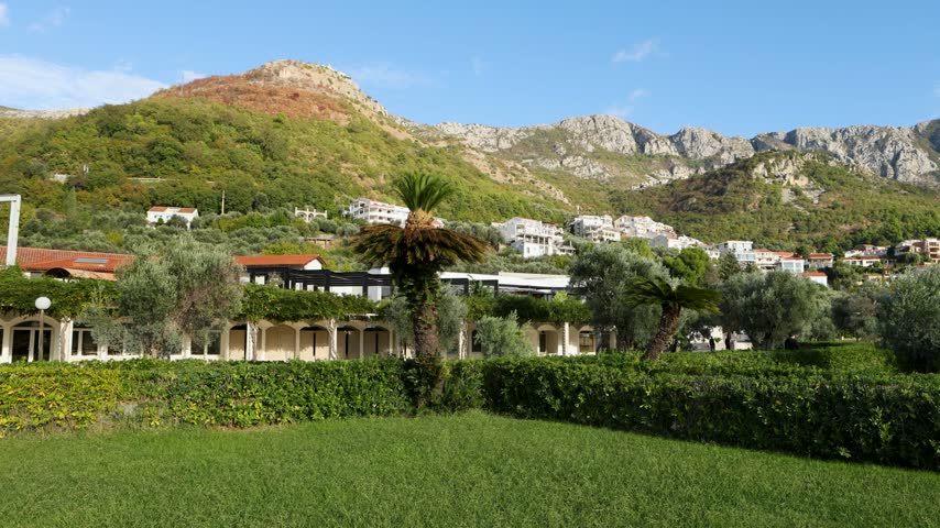 A scenic view showcases a hillside adorned with lush greenery and palm trees. In the background, residential buildings are nestled against the mountainside, creating a picturesque landscape. The sky is clear, enhancing the vibrant colors of the scene.
