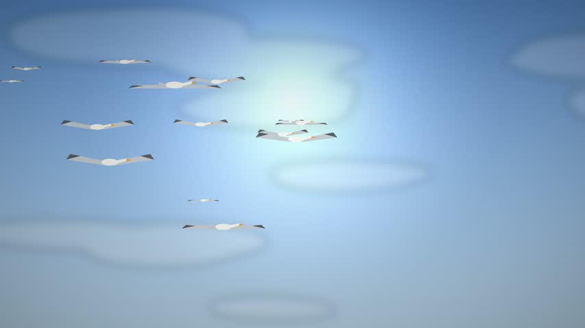 Flock Of Seagulls Gliding In Blue Sky, Slow Motion Seagulls Soaring With Open Wings