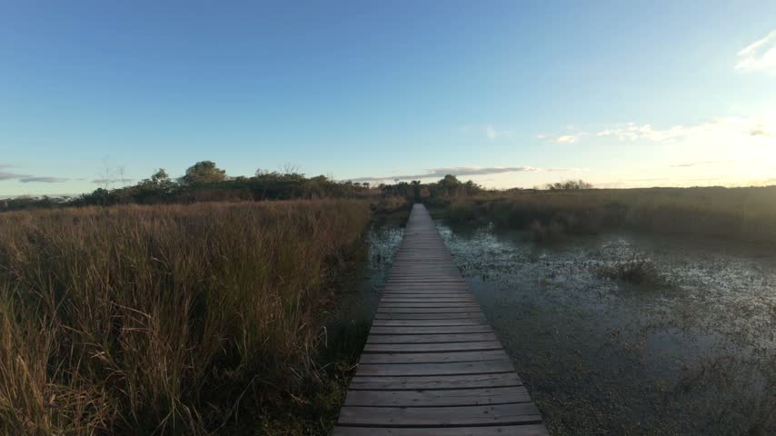 Scenic Wooden Walkway Across Marshland In The Iberá Wetlands At Golden Hour