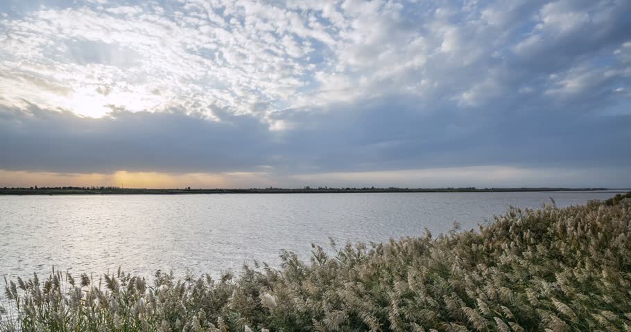 Sunset time-lapse over the Yellow River in Inner Mongolia, golden reeds swaying on the bank as dusk clouds drift above calm water.