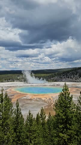 Vertical elevated view of the iconic Grand Prismatic Spring displaying bright turquoise blue water surrounded by colorful orange microbial rings and pine trees.