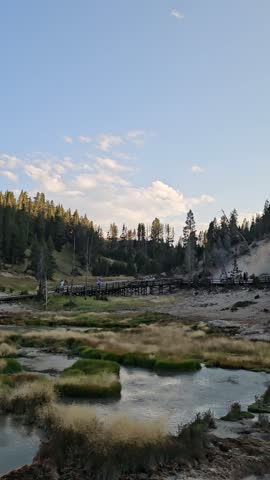 Vertical view of a scenic thermal stream and pool surrounded by grassy mounds and evergreen pine trees under a blue sky.