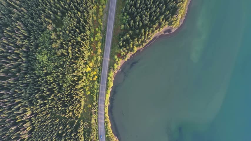 Straight-down drone view of a narrow road dividing dense spruce forest from calm teal lake water, with the first yellow autumn leaves along the shoreline