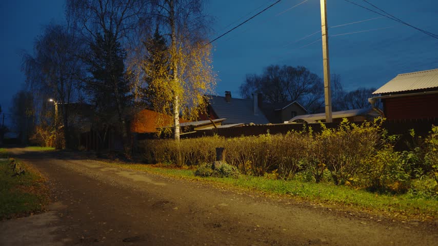 Rural village road at night with autumn trees and houses.