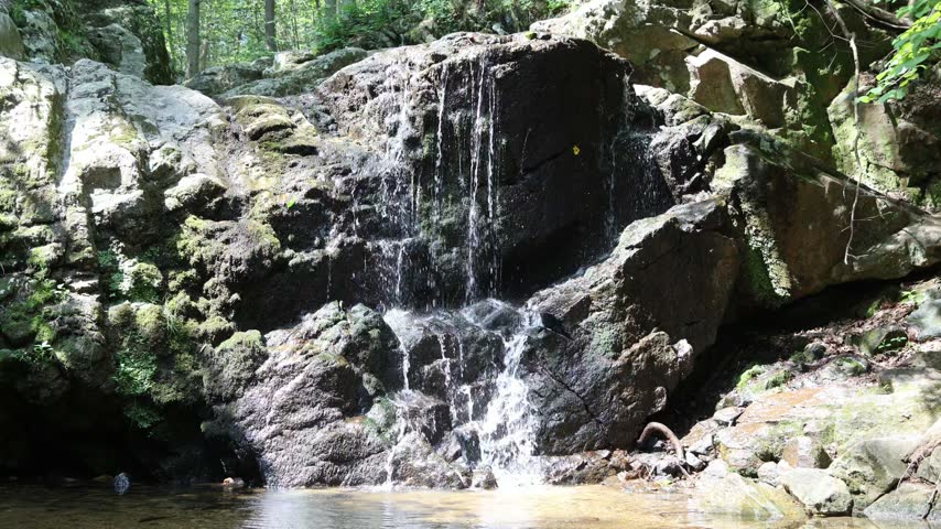 A short scenic video capturing Cascade Falls in Maryland during a bright, sunny day in July. Lush green summer foliage and vibrant moss-covered rocks surround the rushing fresh water as it flows over the rock formation into a clear pool below.