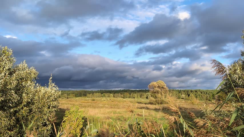 Scenic wide landscape of a rural meadow with green and golden grass, trees, and a dramatic cloudy sky during autumn sunset.