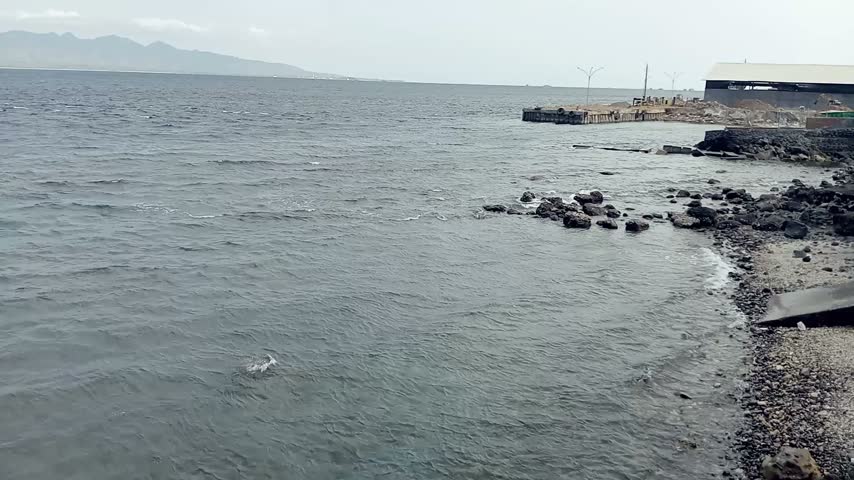 Ocean Waves Crashing on Rocky Coastline Near Harbor Port
