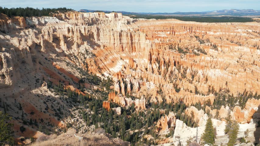 Bryce canyon national park utah, showcasing panoramic landscape of sandstone hoodoos and pine forests across sunlit rock amphitheater, with dramatic red rock formations shaped by erosion
