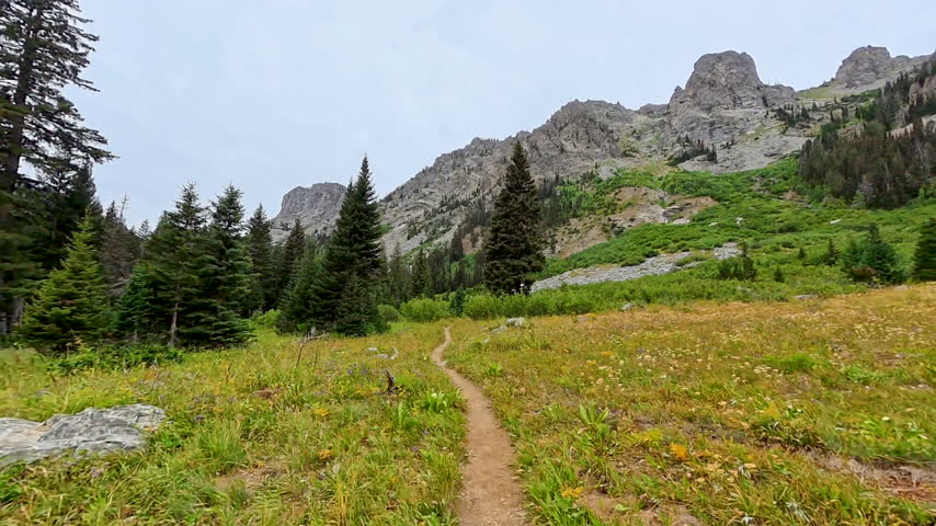 Hiking on Trail through Field Toward Death Canyon Of Grand Teton National Park