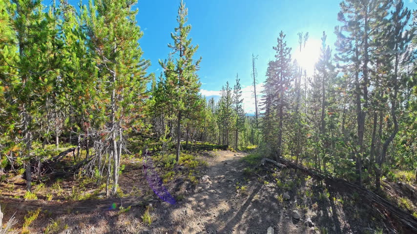Hiking Over and down Rocky Trail in Yellowstone National Park