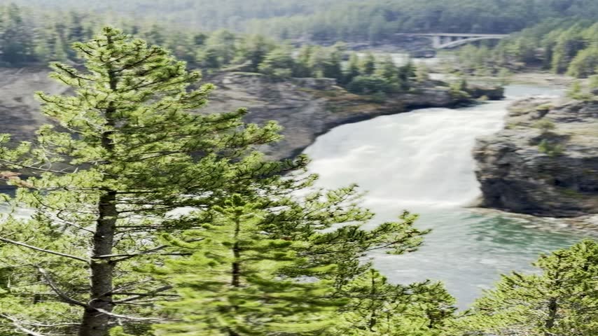 Upper Falls of the Yellowstone River with pine trees in Yellowstone National Park, Wyoming