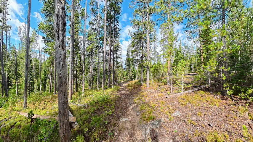 Hiking Over South Boundary Trail in Yellowstone National Park