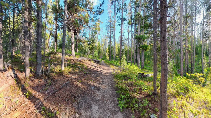 Hiking up Beulah Lake Trail in Yellowstone National Park