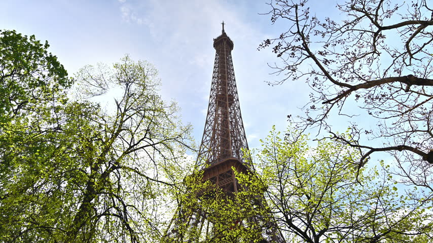 View of the top of the Eiffel Tower through spring trees against a blue sky, Paris, France.