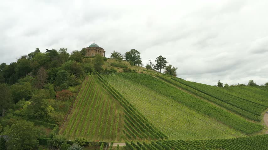 Rows of grapevines on a hillside with a classical building on a hilltop.