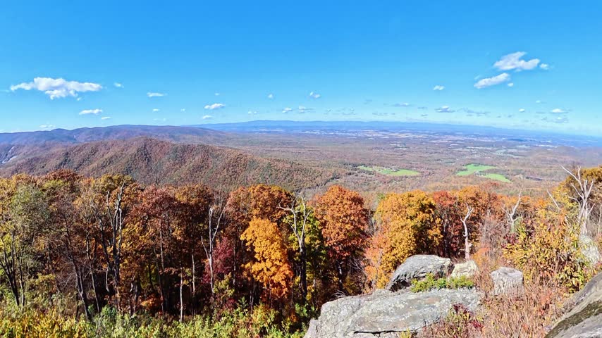 Orange treetops give way to distant valley fields during a rising Shenandoah panorama.