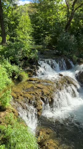 Small Waterfall in a Lush Green Forest Setting