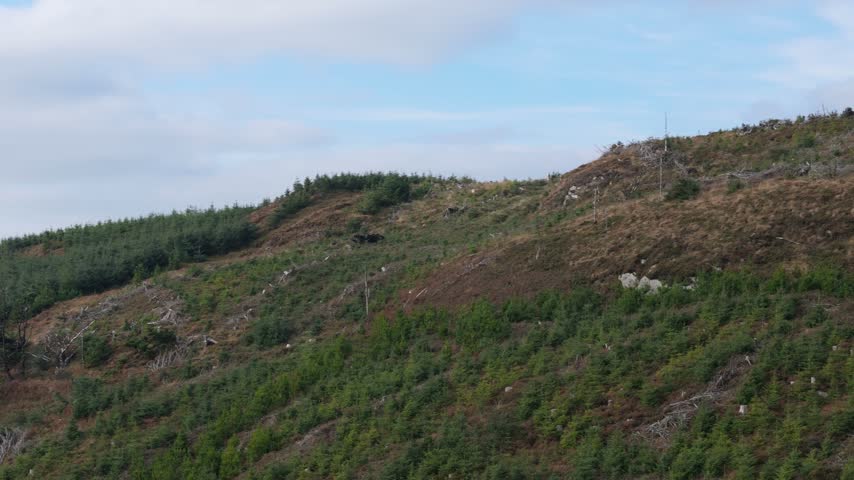 Aerial view of deforested hillside with young tree saplings replanted on mountain slope.