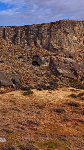 Rocky Cliffside and Golden Grasslands