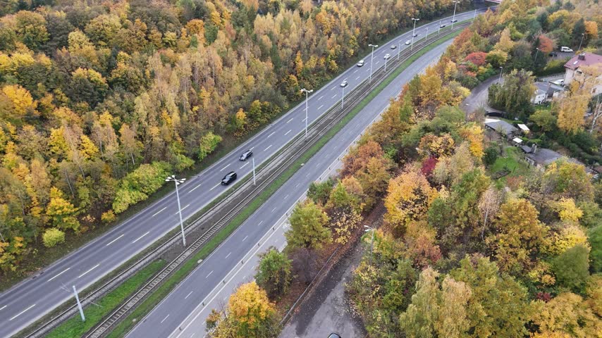 Modern red tram moving along highway tracks surrounded by vibrant autumn forest trees
