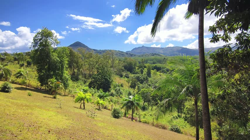Tropical landscape with palm trees and mountains on a sunny day