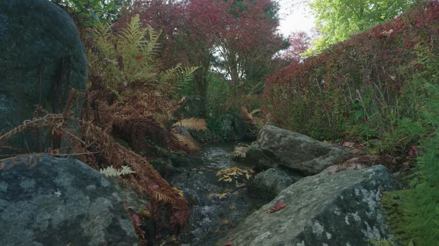 A crystal-clear stream winds through rocks and beautiful trees in a natural park setting