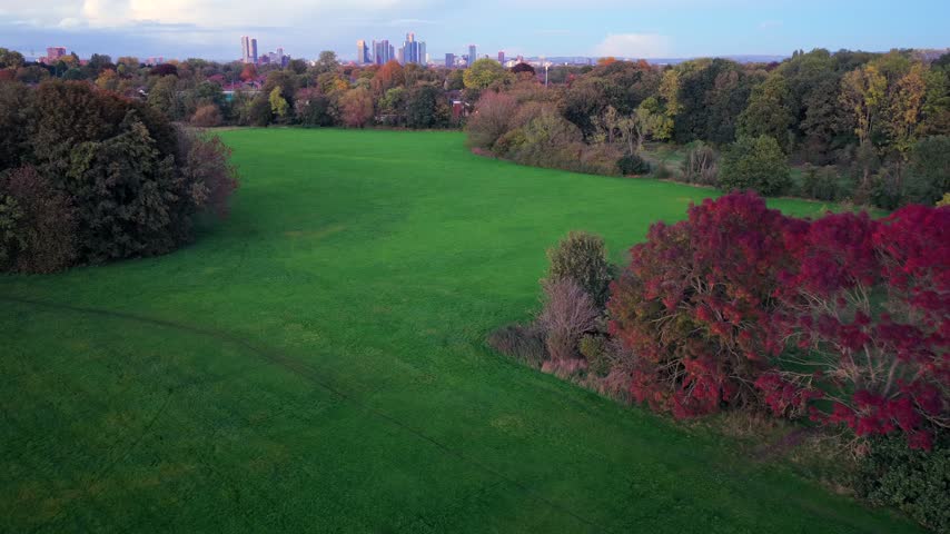 Drone view of vivid red autumn trees on a green playing field at Turn Moss in Stretford, with houses and Manchester Skyline on the horizon.