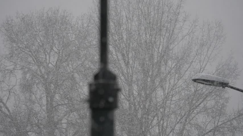 Falling snow in a city park, slow motion