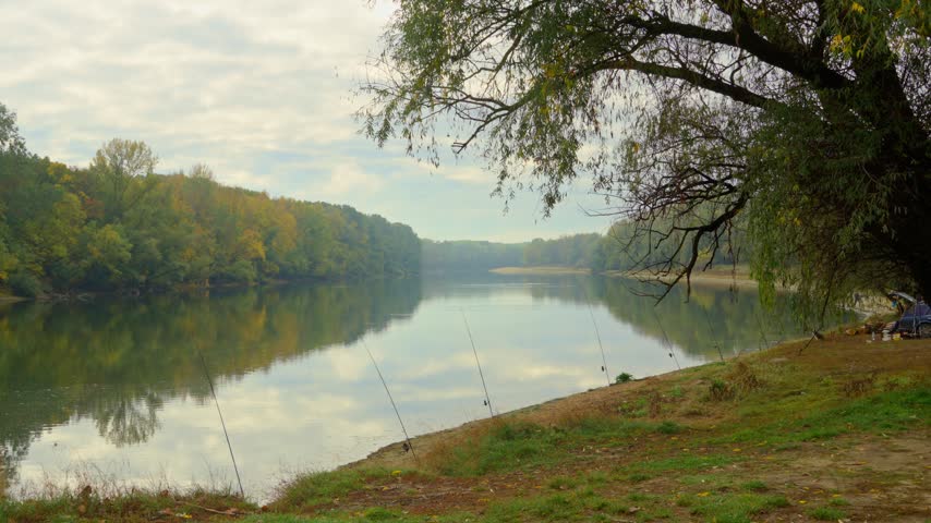 Peaceful autumn scenery featuring several fishing rods set up on a grassy river shore with colorful forest reflections in the still water during a cloudy day
