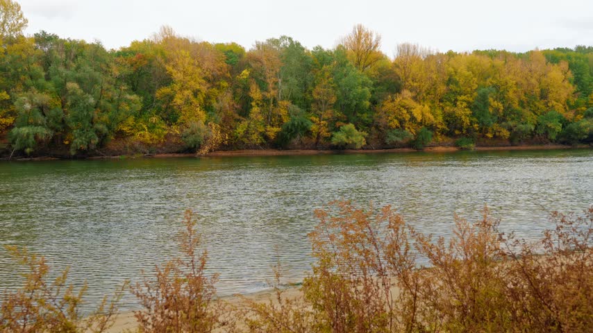 Scenic autumn landscape featuring colorful woodland foliage along a peaceful river bank with dried plants in the foreground during a cloudy day