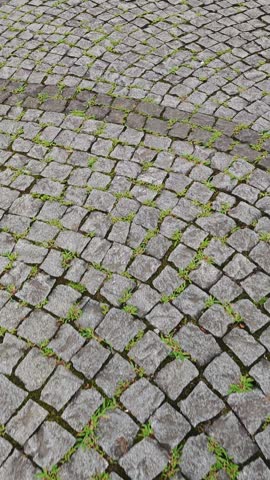Cobblestone street with grass growing between stones in an outdoor paved area