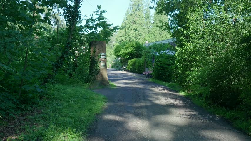 Hiking trail along forest path with pieterpad signpost
