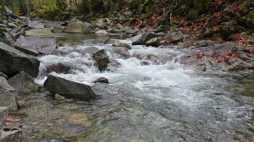 Mountain stream in fall cascades along rocky channel in mountain landscape