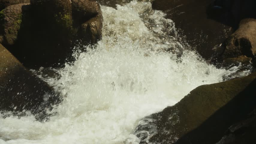 Rushing Water Cascading Over Dark River Rocks in a Natural Forest Setting