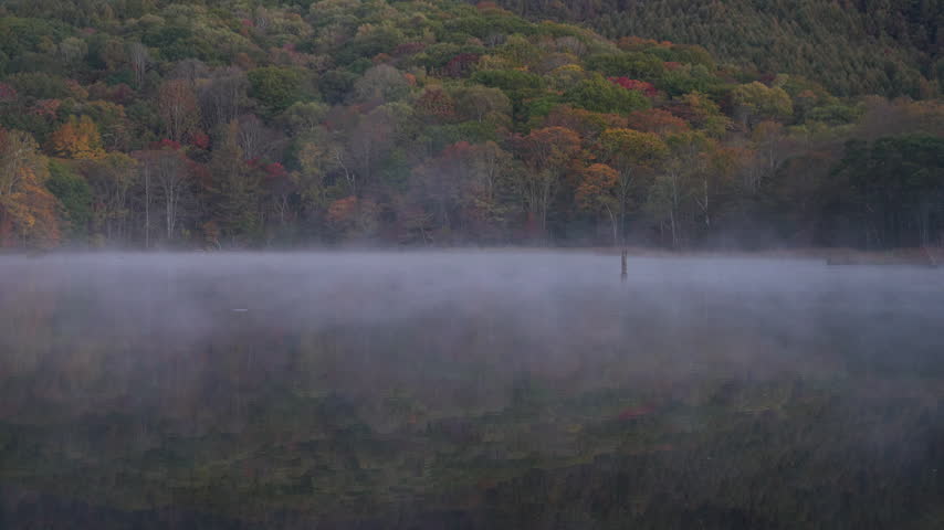 Mystical morning scene of steam fog drifting over Kagami-ike Pond backed by autumn forest