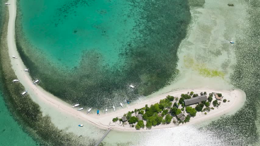 A white sandbar with tropical vegetation and wooden outrigger boats in turquoise water at Virgin Island, Panglao, Philippines