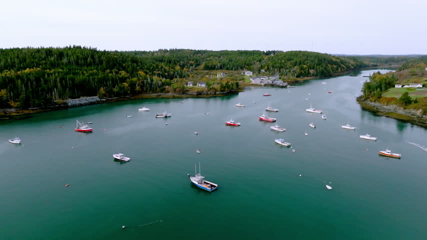 Lobster boats moored in Cutler Harbor, Maine, below spruce shores and white houses