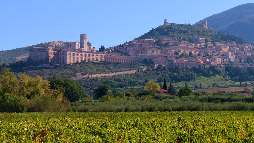 A historic Italian town sits atop a hill, surrounded by lush vineyards and rolling hills.