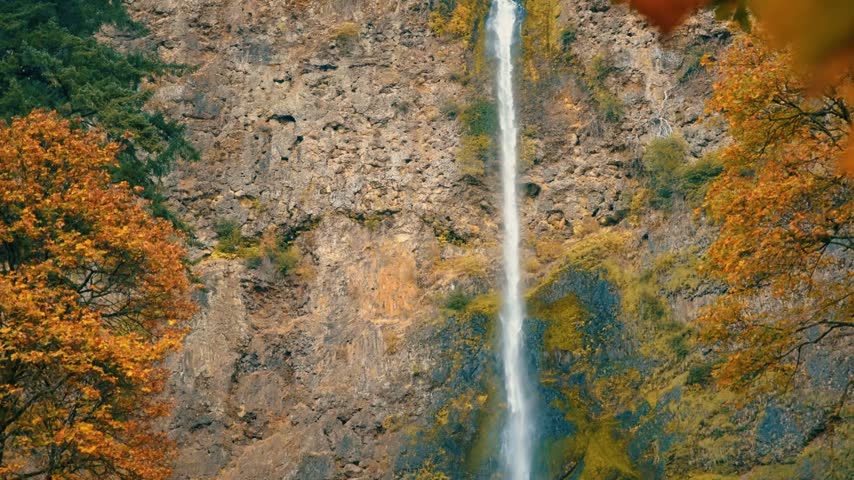 Slow pan from Multnomah Falls to vibrant fall foliage in the Columbia River Gorge, Oregon.
