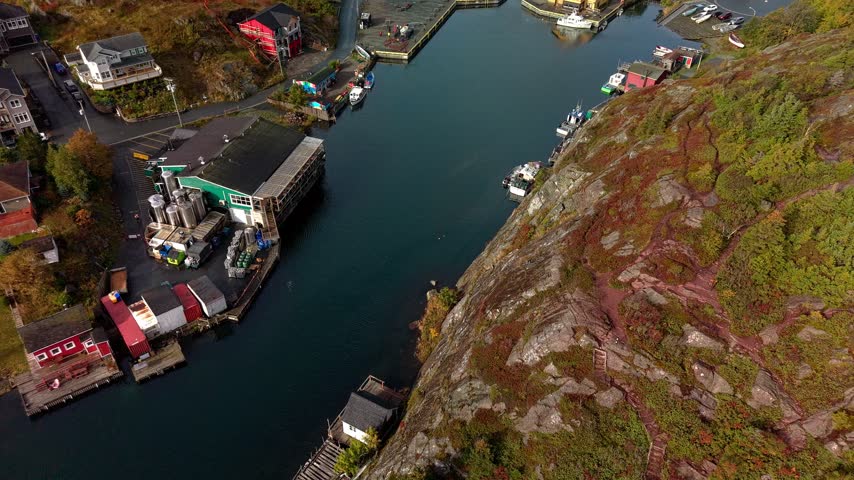 Aerial view of Quidi Vidi fishing village and harbor in St. John