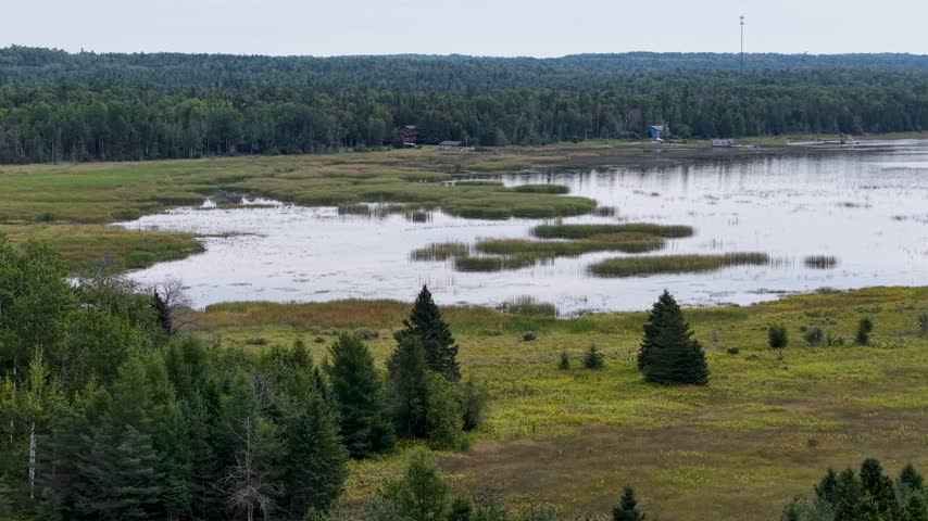 A drone reveals shallow wetland pools and green marsh vegetation beside dense forest near Hessel in Michigans Upper Peninsula